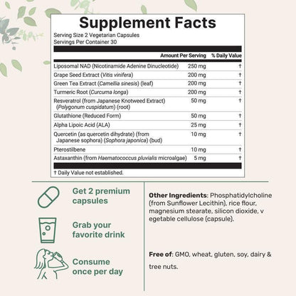 Liposomal NAD+ Ultimate 1,000mg, 60 Veggie Capsules-W18